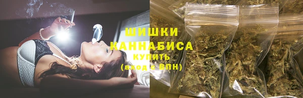 стафф Аркадак