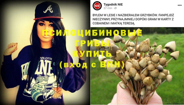 синтетический гашиш Арсеньев